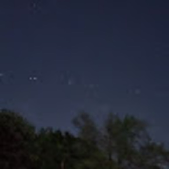 Meet your Posher, Joey - Picture 1 of 1